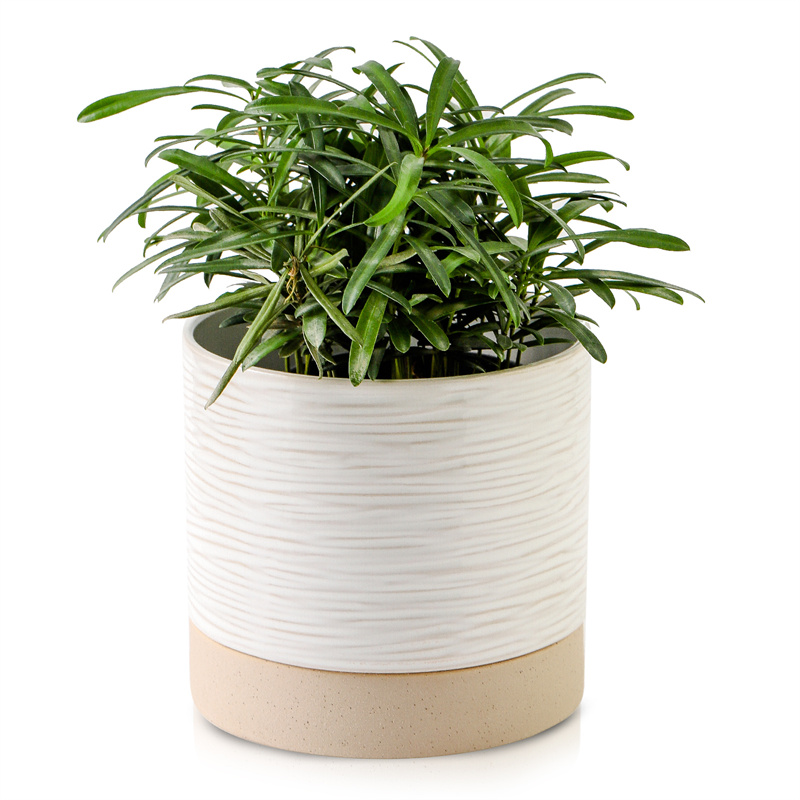 Nihow 6 INCH FLOWER POT SHORT Cream White & Brown