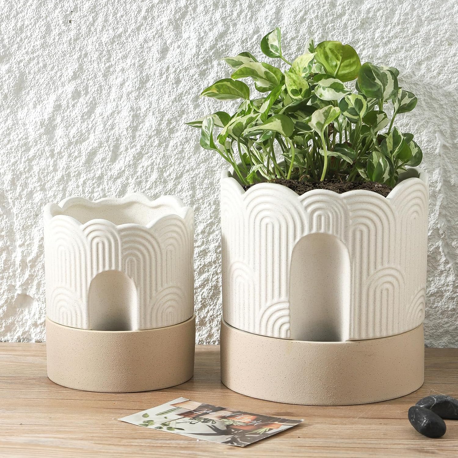 Nihow  8 INCH SELF WATERING FLOWER POT Beige & Nature